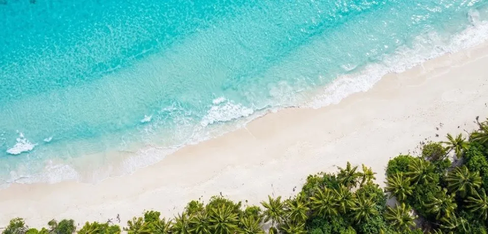 stunning backgrounds